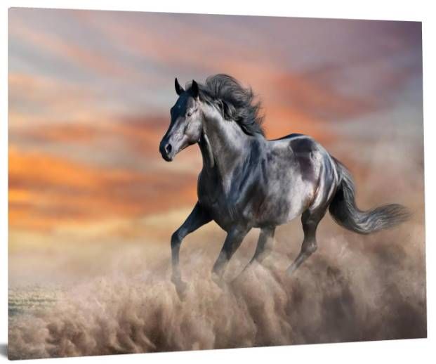 Classy Art Running Horse Wall Art-1