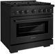 ZLINE Paramount 36" Black Stainless Steel Pro Style Dual Fuel Range-2