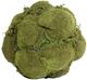 A & B Home 3-Piece Green Artificial Decorative Moss Ball Set-1