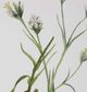Uttermost® Botanical Flowers 9-Piece Framed Prints Set-4