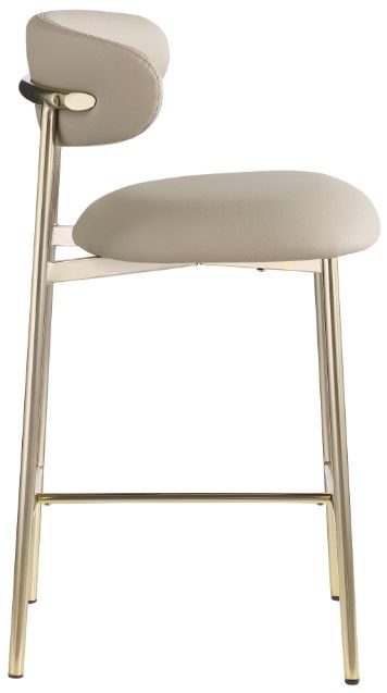 Meridian Furniture Lupita Taupe/Brushed Gold Counter Stool-2