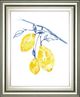 Classy Living Jennifer Goldberger Watercolor Lemons II Wall Art-0