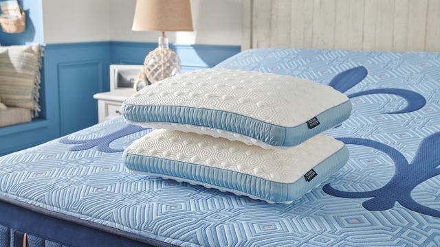 Stearns & Foster® Studio Latex Standard Bed Pillow-1