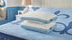 Stearns & Foster® Studio Latex Standard Bed Pillow-1