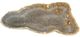 A & B Home Elena Multi-Colored Hand-Carved Multi-Hue Onyx Bowl-0