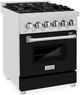 ZLINE 24" Satin Stainless Steel Pro Style Dual Fuel Range with Black Matte Door-2