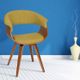 Armen Living Summer Green Dining Chair-1