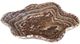 A & B Home Macias Brown Hand-Carved Zebra Onyx Bowl-0