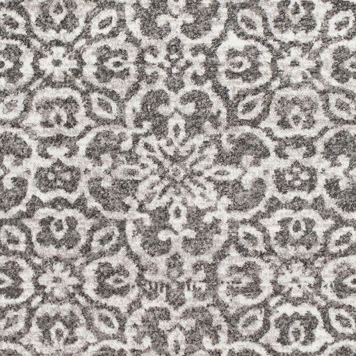 Surya Monte Carlo Light Gray 4'x6' Area Rug-4