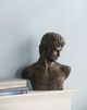 A & B Home Black/Copper Atticus Bust-3