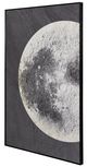 YHD Magnified Wall Art-1