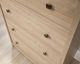 Sauder® River Ranch® Harvest Walnut™ Chest-2