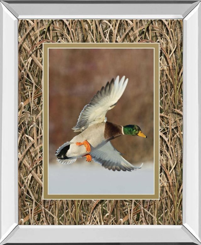 Classy Living Steve Oehlenschlager Flying Mallard Wall Art-0