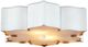 Currey & Company Grand Lotus Flush Mount Lighting-0