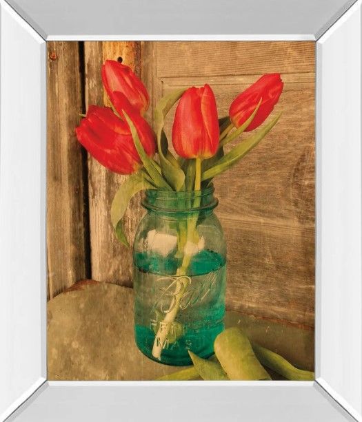 Classy Art Country Tulips by Anthony Smith Mirror Framed Wall Art-0