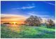 YHD Bluebonnets Wall Art-0