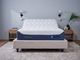 BEDGEAR® H6 Performance® 12" Hybrid Medium Plush Pillow Top Queen Mattress in a Box-1