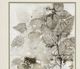 StyleCraft Birch Leaves I Gray/White Wall Art-1