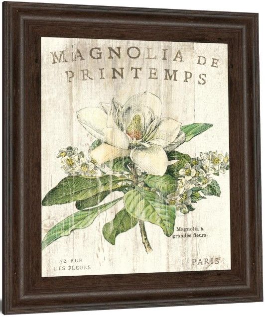 Classy Living Sue Schlabach Magnolia De Printemps Wall Art-3