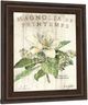 Classy Living Sue Schlabach Magnolia De Printemps Wall Art-3