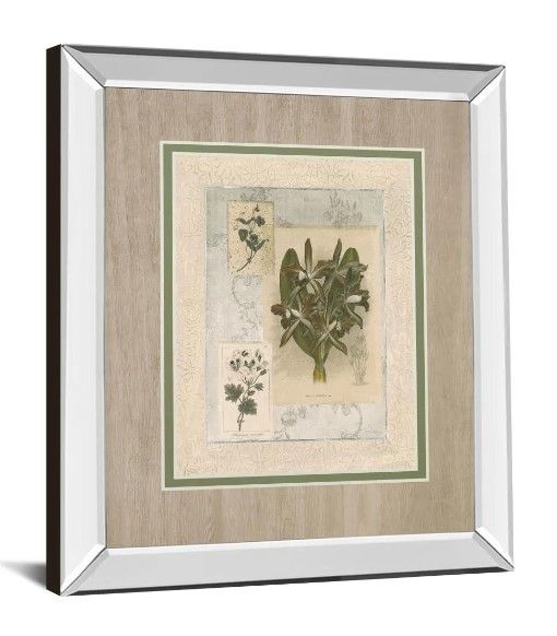 Classy Art Histoire Du Orchid VIl by Carney Wall Art-1
