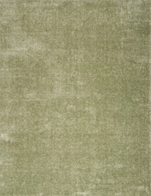 Nourison Home™ Pacific Shag Green 5'x7' Area Rug-0