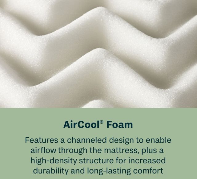 BeautySleep® Soothing Nights 14" Pocketed Coil Firm Tight Top Queen Mattress in a Box-3