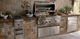 Wolf® 4-Burner Stainless Steel Built In Liquid Propane Gas Grill-1