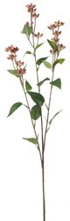 A & B Home Red Hypericum Stem-1