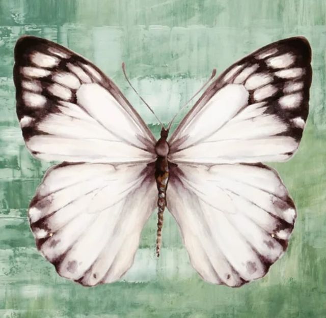 Stylecraft Green Butterfly I Framed Print-1