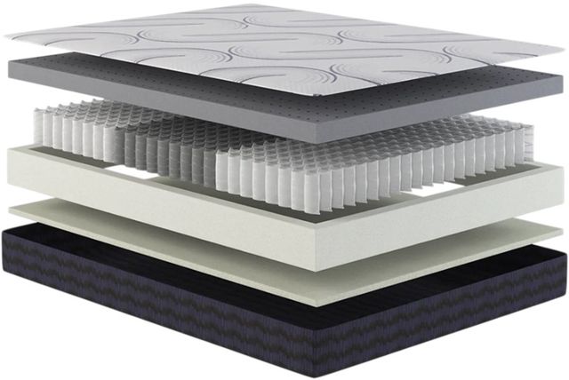 Customatic Sleep Technologies DreamSense Serene 10” Hybrid Firm Smooth Top Queen Mattress -1
