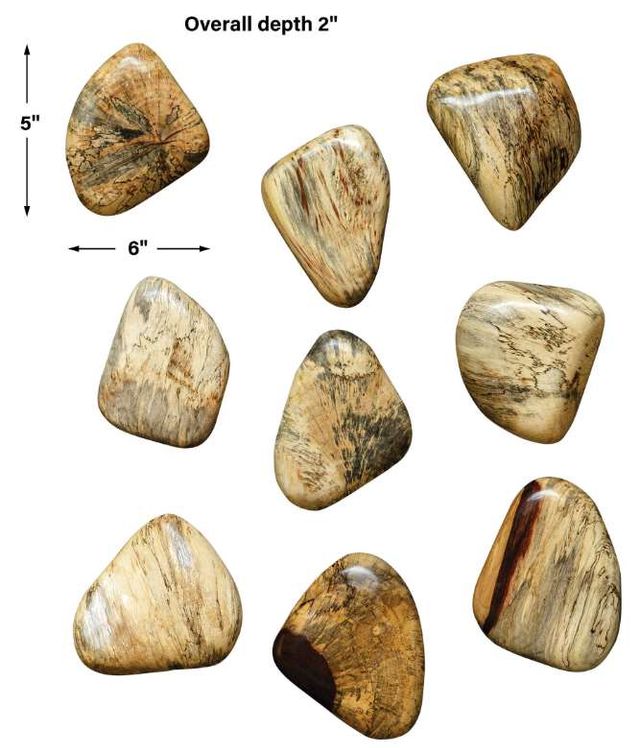 Uttermost® Pebbles 9-Piece Natural Blonde Wall Decor Set-2