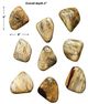Uttermost® Pebbles 9-Piece Natural Blonde Wall Decor Set-2