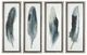 Uttermost® 4-Piece Feathered Beauty Framed Prints Set-0