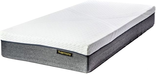 Harmony™ Relax 10" Memory Foam Tight Top Plush Queen Mattress with Transfer Edge-0