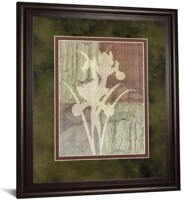 Classy Art Iris Silhouette by Various Framed Print Wall Art-0
