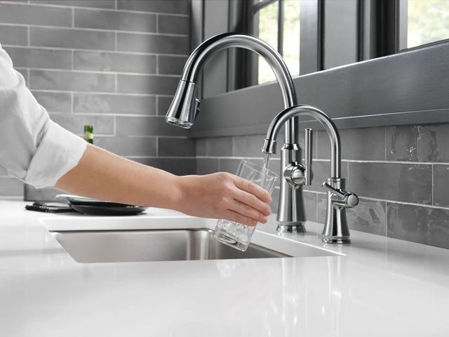 Delta Other Arctic Stainless Transitional Beverage Faucet-3