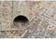 Feizy Siena Brown/Gold 7' x 9' Rug-3