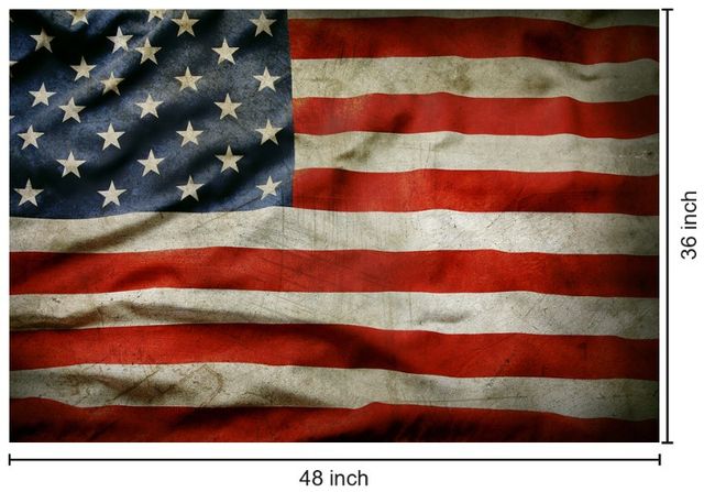 Classy Living Heritage Glory Vintage American Flag Wall Art-2
