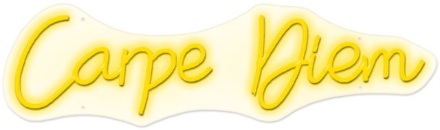 Classy Living Enlightened Carpe Diem Neon Sign-0