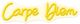 Classy Living Enlightened Carpe Diem Neon Sign-0