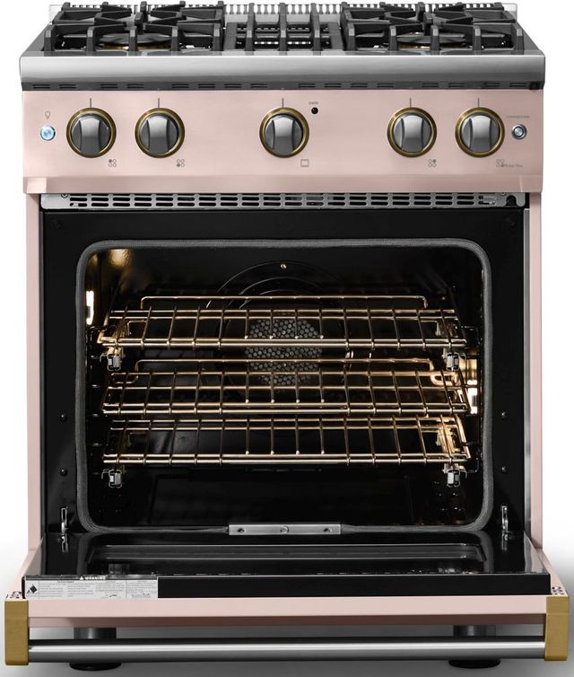 Viking® 5 Series 30" Blush Pro Style Gas (NG) Range with Brushed Brass Trim-1