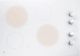 GE® 30" White Electronic Cooktop-1