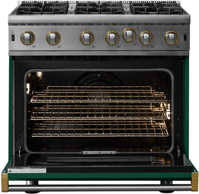 Viking® 5 Series 36" Ivy Pro Style Gas Range-1