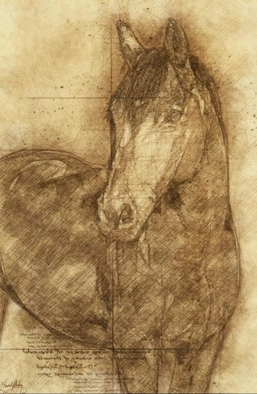 Classy Art Sketched Horse by Elizabeth Medley Wall Art-0