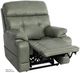 Mega Motion® iNFI Elite Capriccio Olive Power Lift Recliner-1