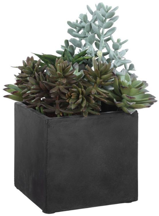 Uttermost® Greystone Green/Matte Black Indoor-Outdoor Succulent-4