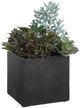 Uttermost® Greystone Green/Matte Black Indoor-Outdoor Succulent-4