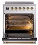 Ilve® Nostalgie II Noblesse 30'' Stainless Steel Pro Style Induction Range with Brass Trim-1