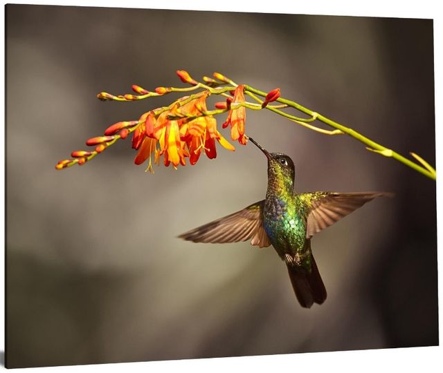 Classy Living Flutter Wall Art-3